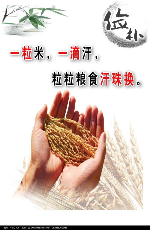 购买注册Bitz澳大利亚实名KYC认证资料
